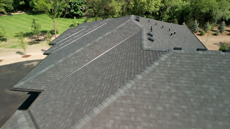 Best Roof Moss and Algae Removal  in Pearl Beach, MI